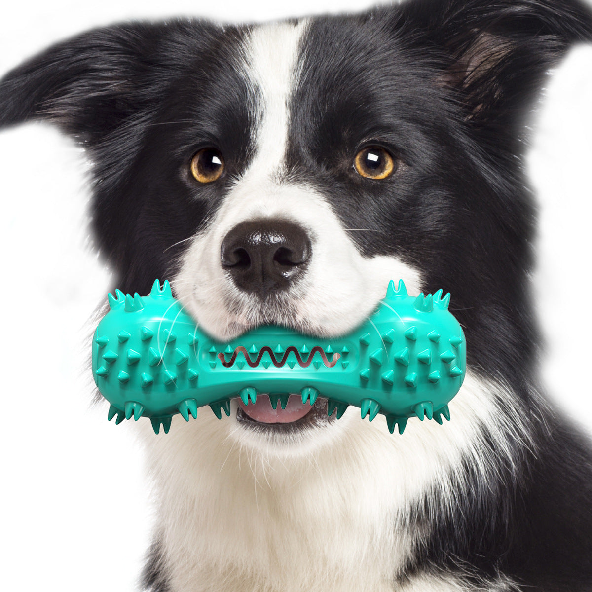 Dog toys, talking dumbbells, cross-border hot-selling teething sticks, dog teeth cleaning bones, toothbrushes, factory pet supplies