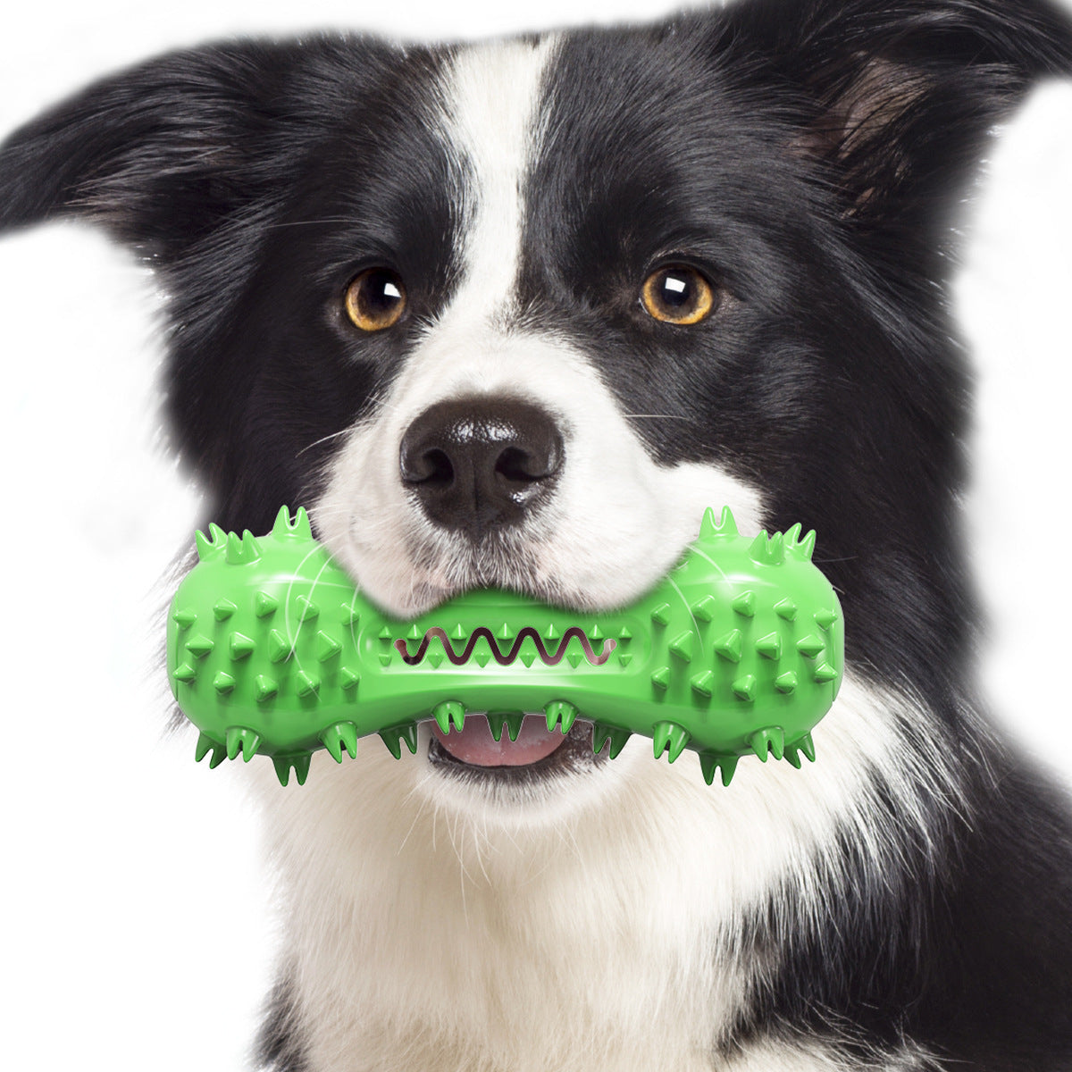 Dog toys, talking dumbbells, cross-border hot-selling teething sticks, dog teeth cleaning bones, toothbrushes, factory pet supplies