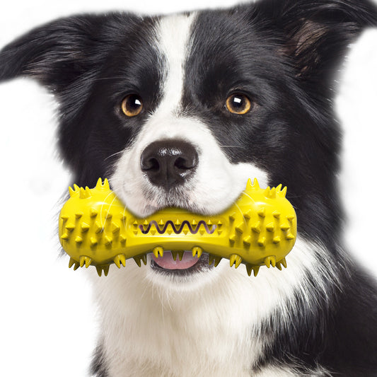 Dog toys, talking dumbbells, cross-border hot-selling teething sticks, dog teeth cleaning bones, toothbrushes, factory pet supplies